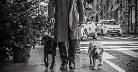 The man with two dogs