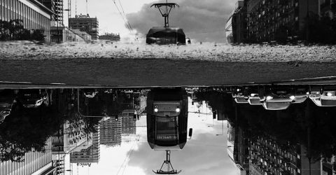 I felt my heart grey.