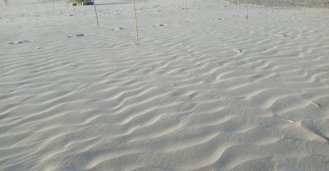 Beachpic