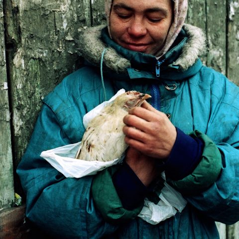 Portrait homeless woman with a hen