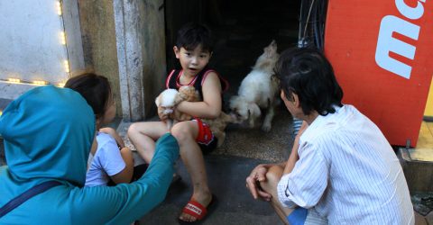 The baby and the dog
