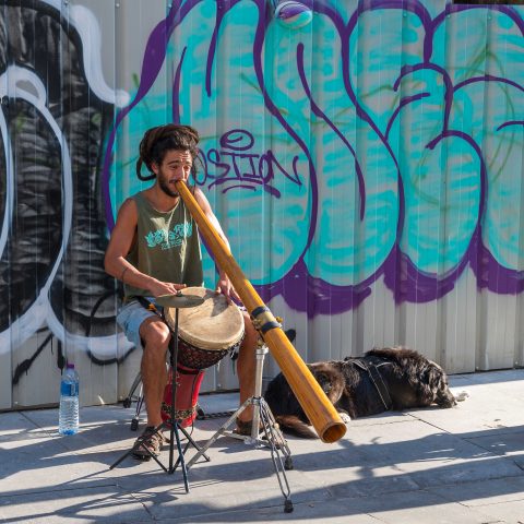 Musician in the streets of Porto.