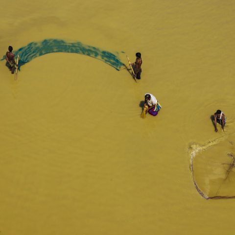 Fishing together