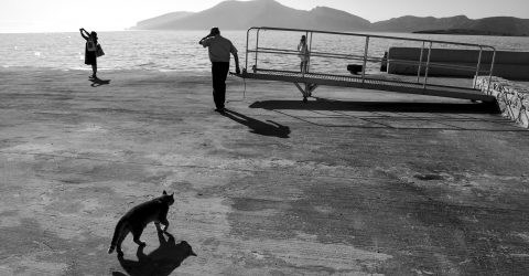 live on dock
