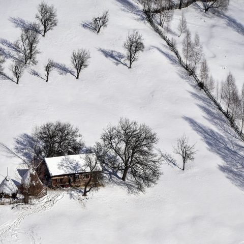 Silence of the Hills