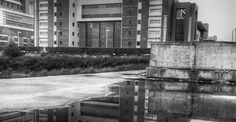 The Alternate Reality