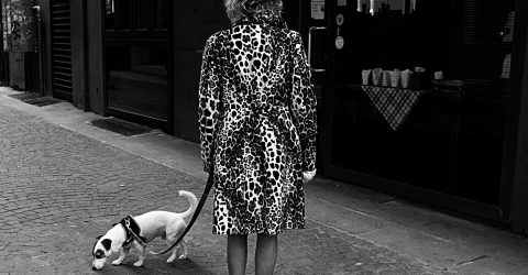 With The dog