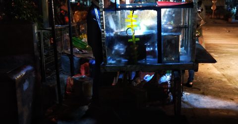 Vendoring into the Night