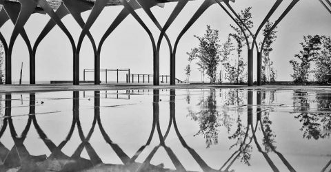 Monotry
