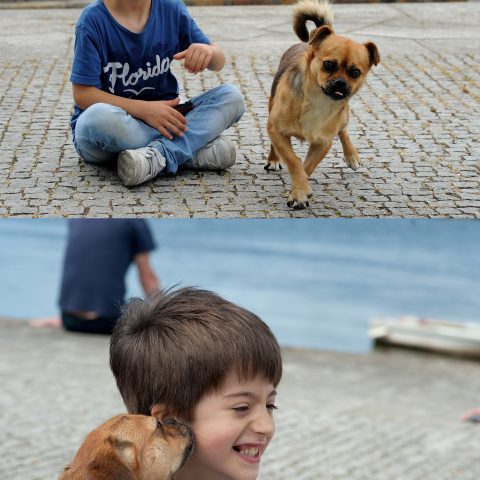 Hugo playing with the dog