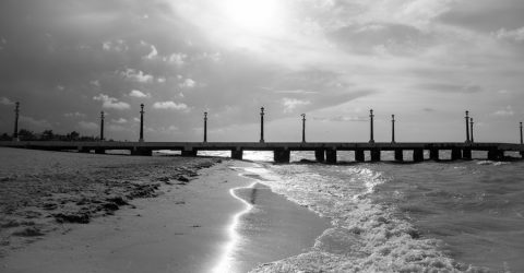 Muelle de Sisal