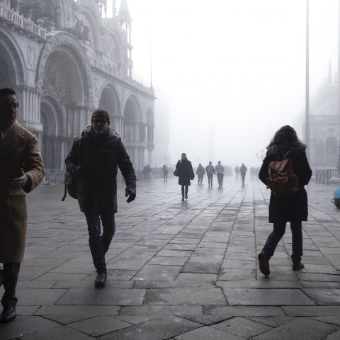 nelle nebbia