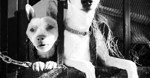 If we could talk to you.