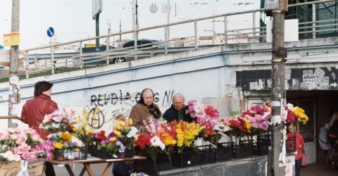 Grandma`s buying artificial flowers before memorial days