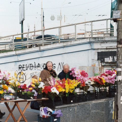 Grandma`s buying artificial flowers before memorial days