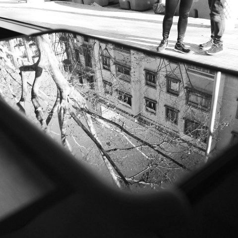 Reflections