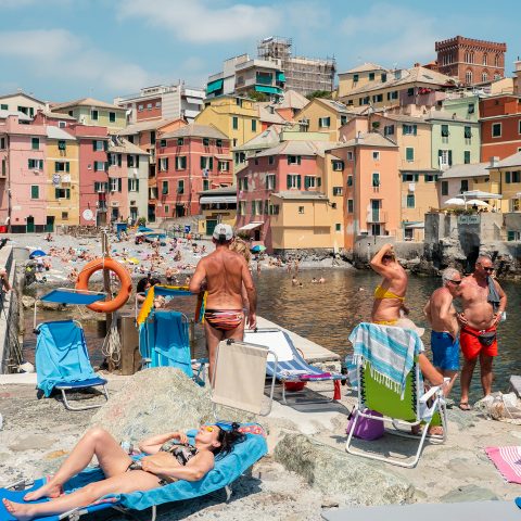 Summer scene