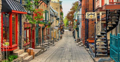 All Blown Up Inflatable Rentals