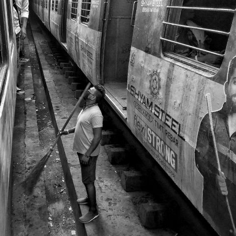Contrast of life