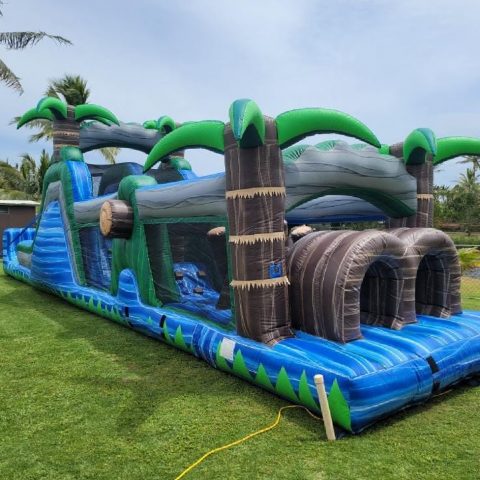 A Street Photo Captured by Oahu Jump