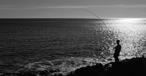 Fisherman’s decisive moment