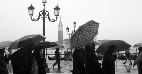 Umbrellas in San Marco