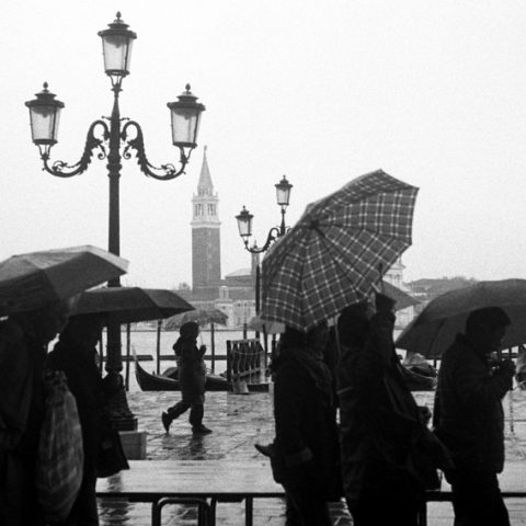 Umbrellas in San Marco