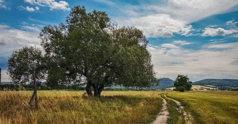 A wide view of nature captured by Md. Shahriar Rahman