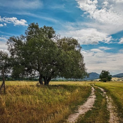 A wide view of nature captured by Md. Shahriar Rahman
