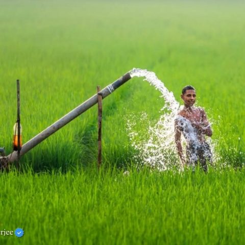 Happiness of summer