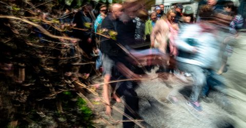 My Warsaw 2023, FRENZY