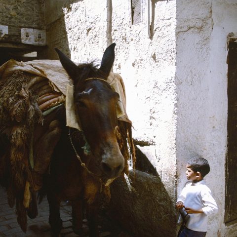 Alleyway Traffic Jam