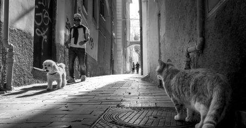 The alley keeper