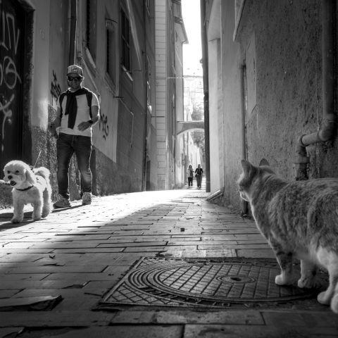 The alley keeper
