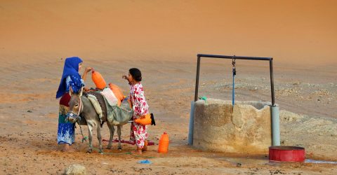 WATER COLLECTION