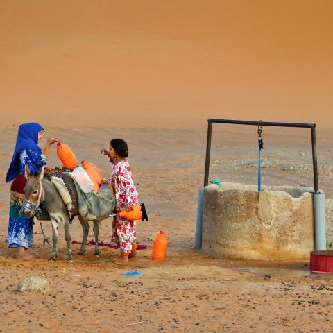 WATER COLLECTION