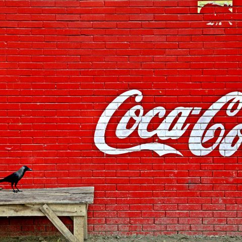 CROW AND COCA COLA