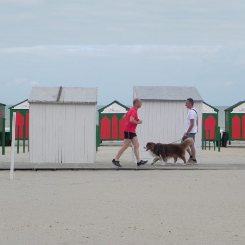 At the beach