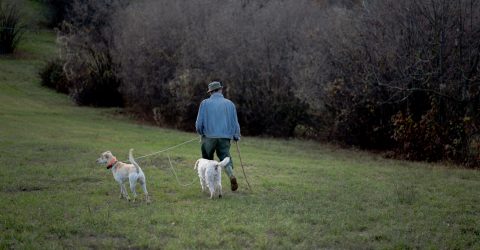 Truffle Hunter #6