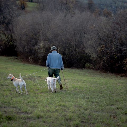 Truffle Hunter #6