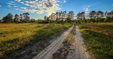 A wide view of nature captured by Md. Shahriar Rahman
