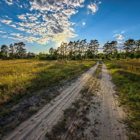 A wide view of nature captured by Md. Shahriar Rahman