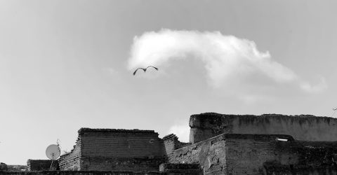 Urban Visual Footnotes #6