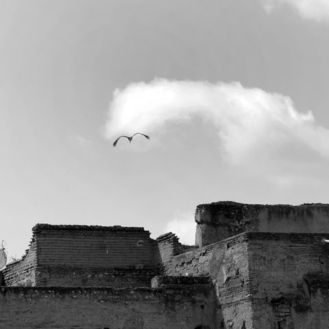 Urban Visual Footnotes #6