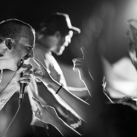 Discomostro Live: Raw & Real