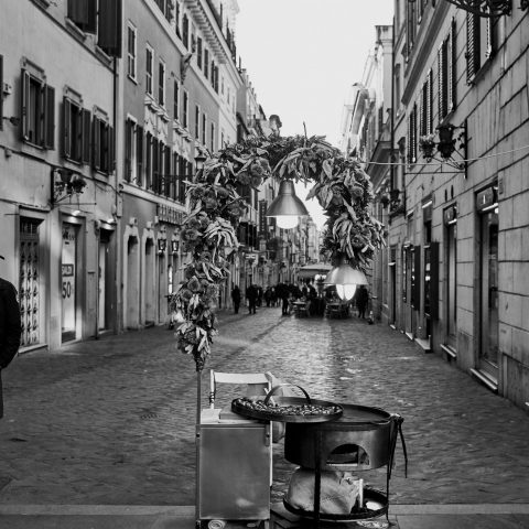 Chestnut seller