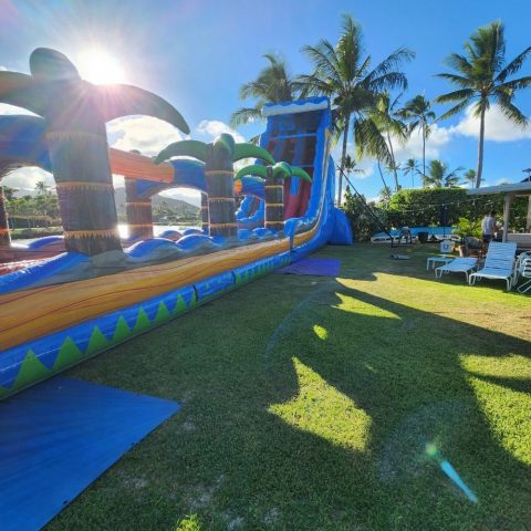 A Street Photo Captured by Oahu Jump