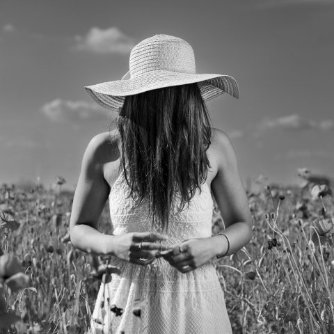 The Unseen Summer