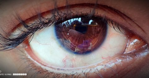 Eye of my Love