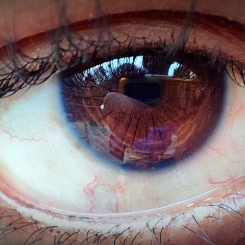Eye of my Love